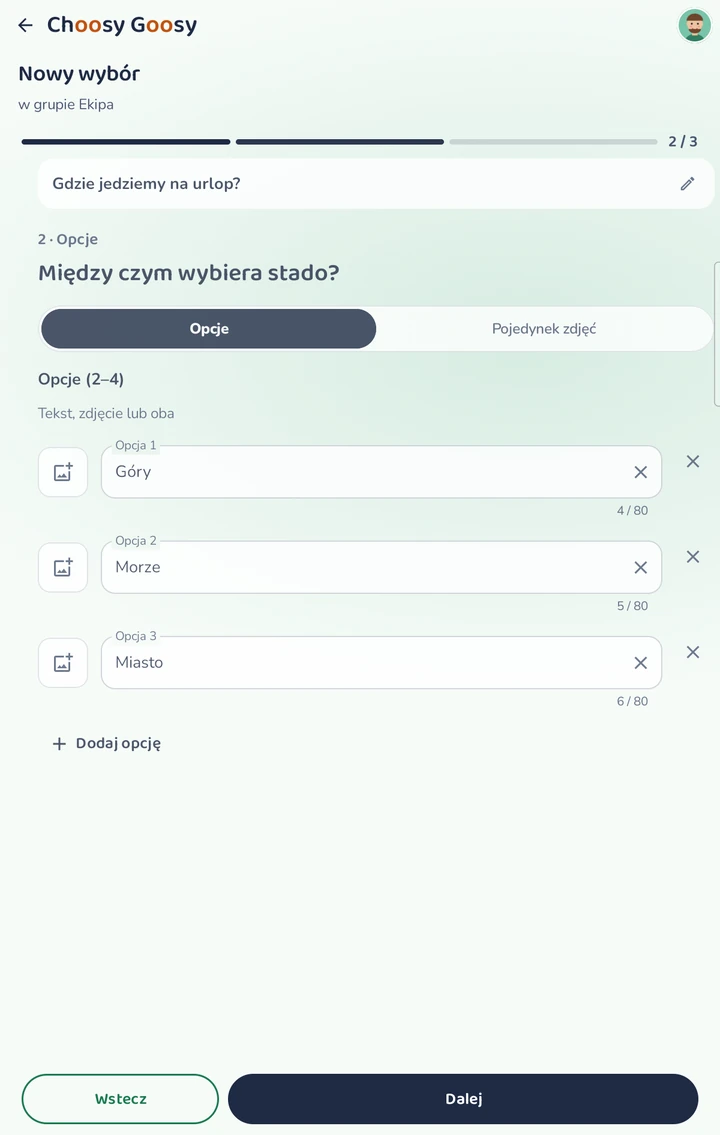 Choosy Goosy — Pytanie, kilka opcji, może zdjęcia i czas na decyzję. Gotowe w minutę!